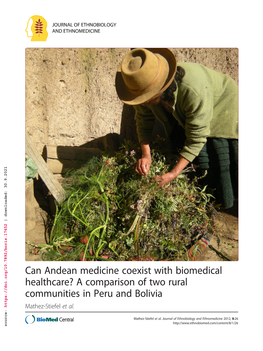 Can Andean Medicine Coexist with Biomedical Healthcare?