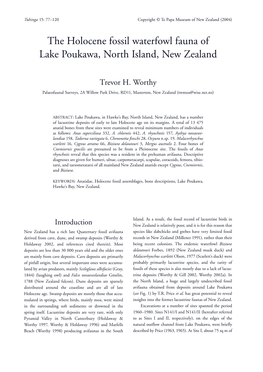 The Holocene Fossil Waterfowl Fauna of Lake Poukawa, North Island, New Zealand