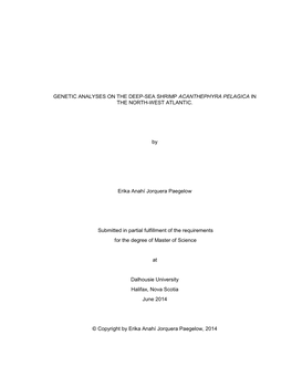 GENETIC ANALYSES on the DEEP-SEA SHRIMP ACANTHEPHYRA PELAGICA in the NORTH-WEST ATLANTIC. by Erika Anahí Jorquera Paegelow Subm