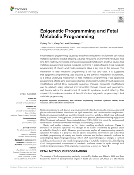 Epigenetic Programming and Fetal Metabolic Programming