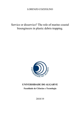 The Role of Marine Coastal Bioengineers in Plastic Debris Trapping