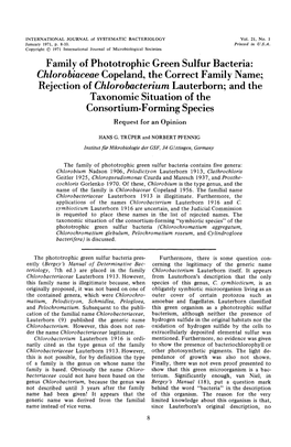 Family of Phototrophic Green Sulfur Bacteria