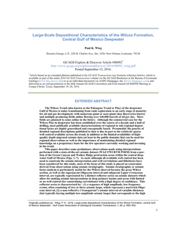 Large-Scale Depositional Characteristics of the Wilcox Formation, Central Gulf of Mexico Deepwater