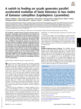 A Switch to Feeding on Cycads Generates Parallel Accelerated Evolution of Toxin Tolerance in Two Clades of Eumaeus Caterpillars (Lepidoptera: Lycaenidae)