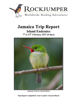 Jamaica Trip Report Island Endemics 7Th to 12Th February 2015 (6 Days)