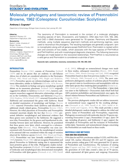 Molecular Phylogeny and Taxonomic Review of Premnobiini Browne, 1962 (Coleoptera: Curculionidae: Scolytinae)