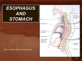 Esophagus and Stomach