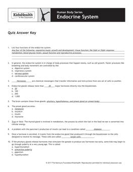 Answer Key: Endocrine System (Grades 6 to 8)