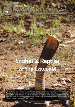 Module # 1 - Reptilia (The Reptiles)