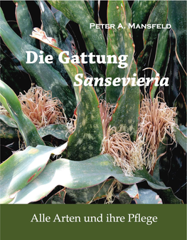 Sansevieria Alle Arten Und Ihre Pflege