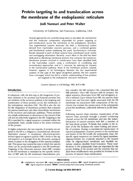 Protein Targeting to and Translocation Across the Membrane of the Endoplasmic Reticulum