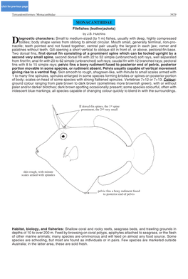 Monacanthidae 3929