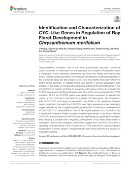 Identification and Characterization of CYC-Like Genes in Regulation Of