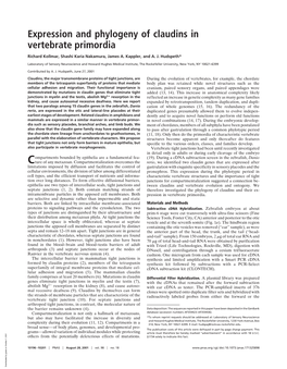 Expression and Phylogeny of Claudins in Vertebrate Primordia