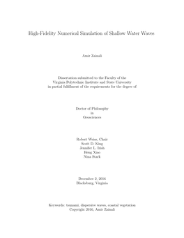 High-Fidelity Numerical Simulation of Shallow Water Waves