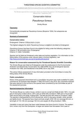 Conservation Advice Pseudomys Fumeus Smoky Mouse