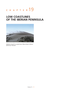 Chapter 19: Low Coastlines of the Iberian Peninsula