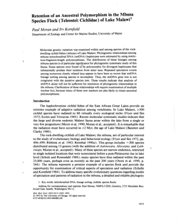 Retention of an Ancestral Polymorphism in the Mbuna Species Flock (Teleostei: Cichlidae) of Lake Malawi 1