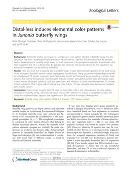 Distal-Less Induces Elemental Color Patterns in Junonia Butterfly Wings