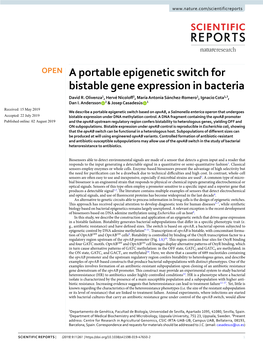 A Portable Epigenetic Switch for Bistable Gene Expression in Bacteria David R