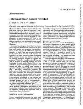 Intestinal Brush Border Revisited R HOLMES and R W LOBLEY (This Article Is One Ofa Series Linked with the Festschrift for Christopher Booth