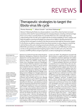 Therapeutic Strategies to Target the Ebola Virus Life Cycle