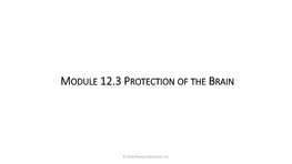 Module 12.3 Protection of the Brain