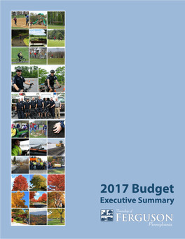 2017 Budget Executive Summary Ferguson Township Budget Executive Summary