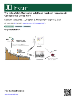 The Role of Sp140 Revealed in Ige and Mast Cell Responses in Collaborative Cross Mice