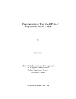 Characterization of Two Small Rnas of Streptococcus Mutans UA159