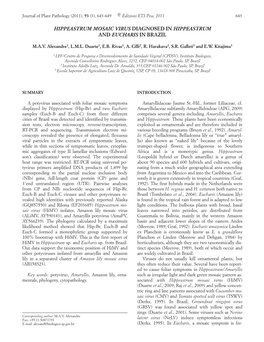 Hippeastrum Mosaic Virus Diagnosed in Hippeastrum and Eucharis in Brazil