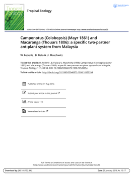Camponotus (Colobopsis) (Mayr 1861) and Macaranga (Thouars 1806): a Specific Two-Partner Ant-Plant System from Malaysia