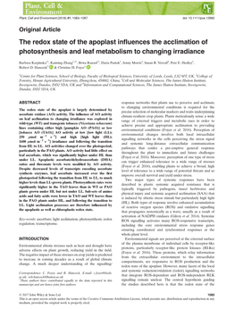 The Redox State of the Apoplast Influences the Acclimation of Photosynthesis and Leaf Metabolism to Changing Irradiance