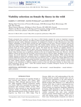 Viability Selection on Female Fly Finery in the Wild