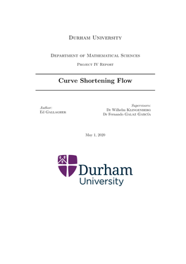 Curve Shortening Flow