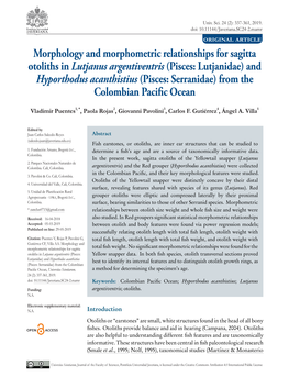 Morphology and Morphometric Relationships for Sagitta Otoliths In