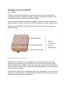 Histology of Serous Membranes by O.P