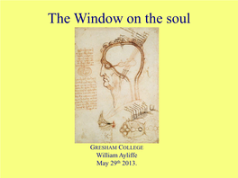 The Window on the Soul