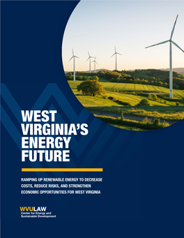 West Virginia's Energy Future