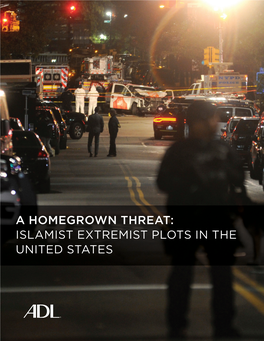 Download Full Report: a Homegrown Threat