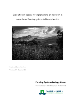 Exploration of Options for Implementing an Indifallow in Maize-Based Farming Systems in Oaxaca, Mexico