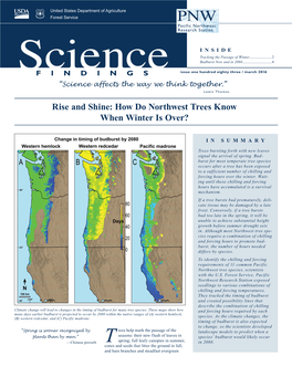 Rise and Shine: How Do Northwest Trees Know When Winter Is Over?