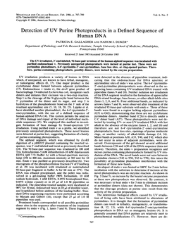 Detection of UV Purine Photoproducts in a Defined Sequence of Human DNA PATRICIA E