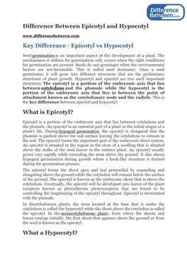 Difference Between Epicotyl and Hypocotyl Key Difference