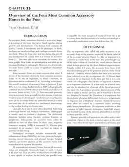 Overview of the Four Most Common Accessory Bones in the Foot