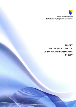 BIH Energy Sector Report 2009