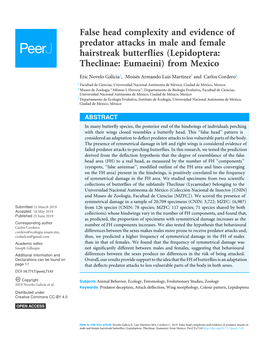 False Head Complexity and Evidence of Predator Attacks in Male and Female Hairstreak Butterflies (Lepidoptera: Theclinae: Eumaeini) from Mexico