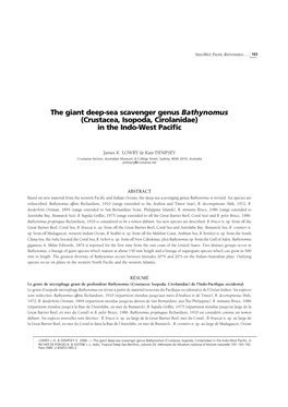 The Giant Deep-Sea Scavenger Genus Bathynomus (Crustacea, Isopoda, Cirolanidae) in the Indo-West Paciﬁc