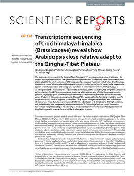 Transcriptome Sequencing of Crucihimalaya Himalaica