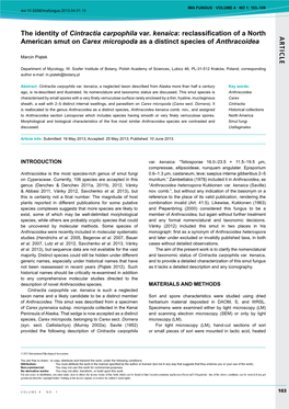 AR TICLE the Identity of Cintractia Carpophila Var